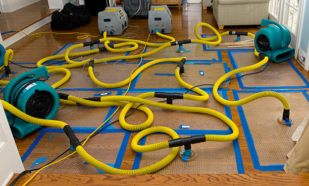 Professional Burst Pipe Water Damage technician working in Goshen, IN